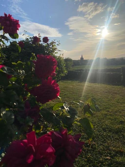Cottage Chaleureux Au Coeur Des Monts De Flandres Saint-Jans-Cappel Екстериор снимка